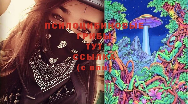 эйфоретик Алзамай