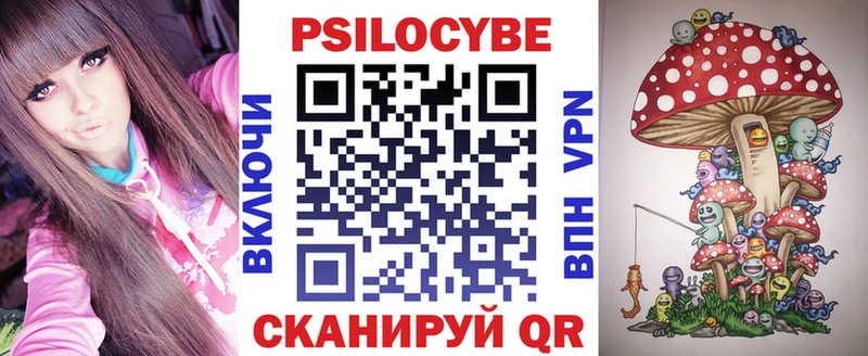 где купить   Звенигово  Галлюциногенные грибы Psilocybine cubensis 