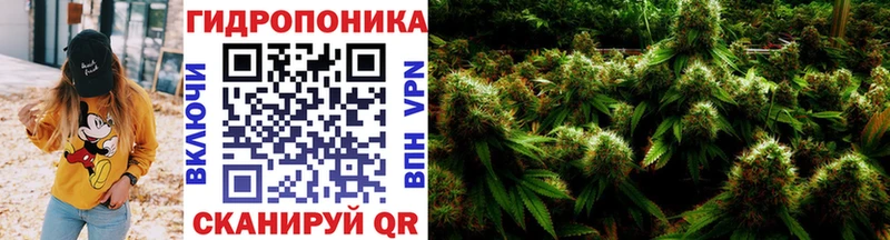 как найти   Звенигово  omg как зайти  Марихуана семена 
